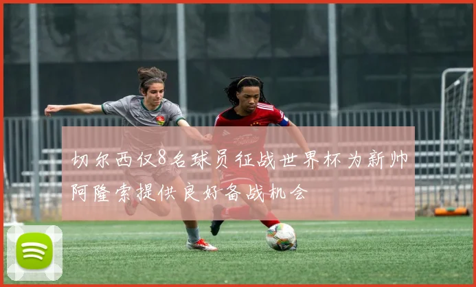 切尔西仅8名球员征战世界杯为新帅阿隆索提供良好备战机会